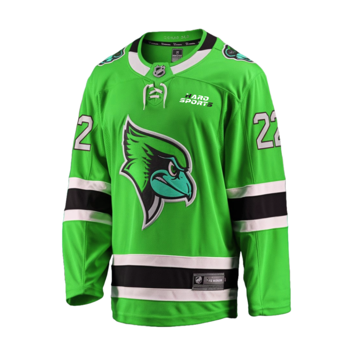 ice hockey jersey
